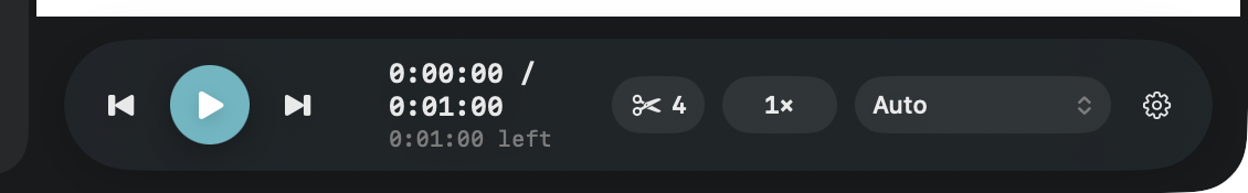 The playback bar, showing skip back, play, skip forward, elapsed and remaining time, a skip counter, the speed control, the voice name, and a settings button.